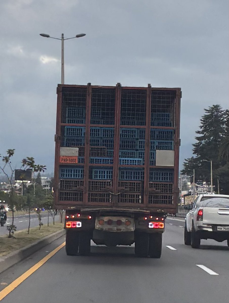 SofaCamaEC's tweet photo. PIB-5002 a exceso de velocidad en la #RutaViva y la @AMT_Quito a esos sí no les controlan! Solo cuando matan gente se enteran! https://t.co/w3TcsOH8Jd