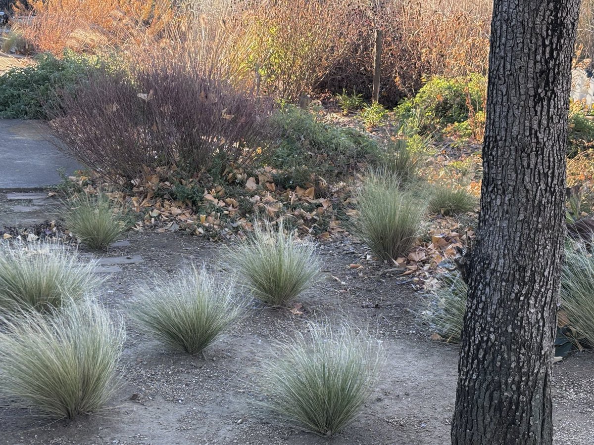 エンジェルたちとはいい感じにやってます。
気が向いたら増やしたり減らしたりできます。
