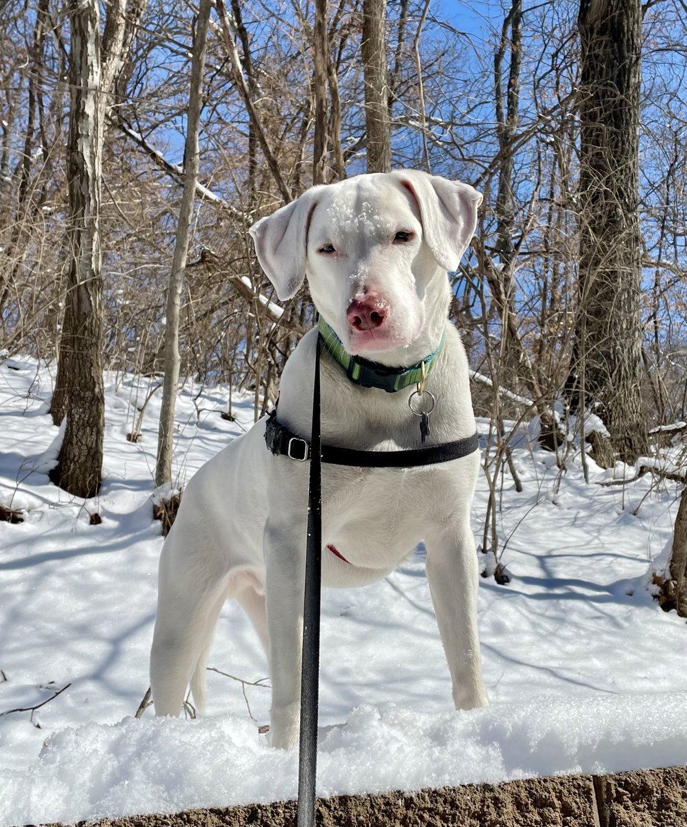 Robert Haus tweet media