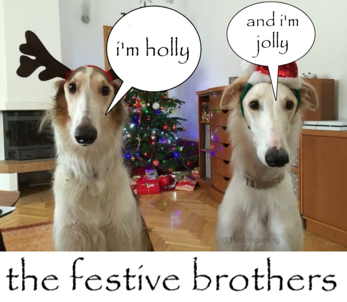 #borzoi #borzoitwt