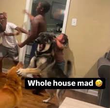 lloro con el quilombo que se armo en este twitt