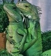 Sadubpin_'s tweet image. 