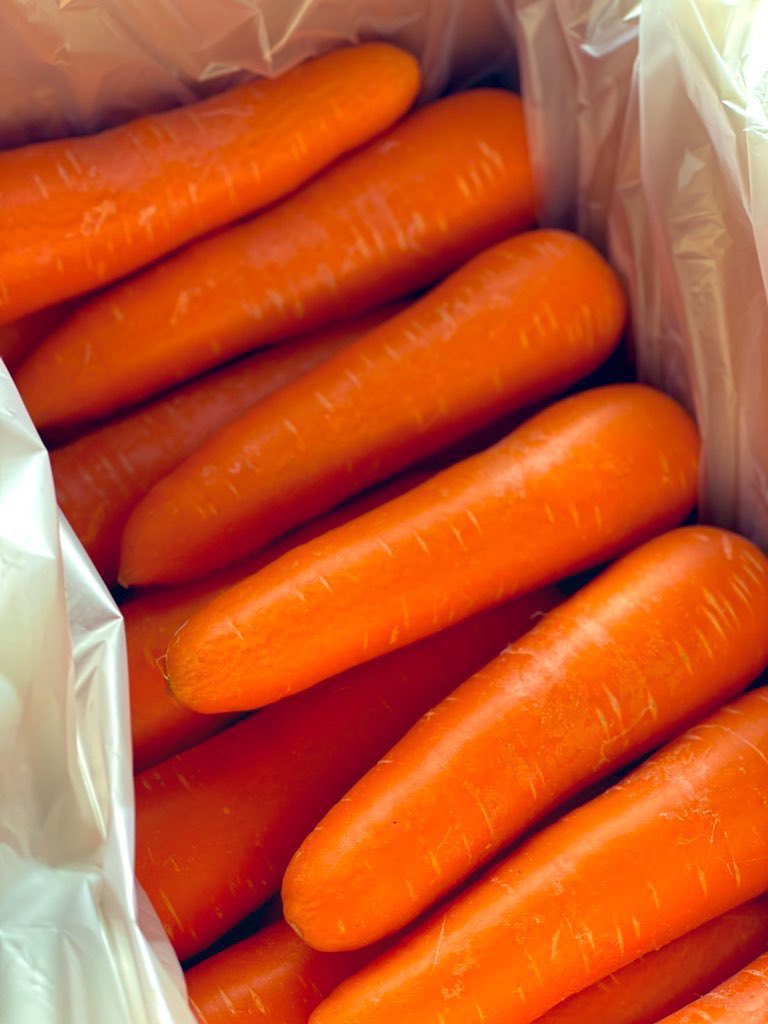 taiseinouen's tweet photo. 👨‍🌾第117回プレゼント企画🥕

抽選で3名様に
採れたて‼️
皮ごと食べれるあま〜い‼️さんぶ人参🥕2kgをプレゼント致します。

食べチョクにて販売中✨
ご注文数800件を超えました🙇‍♂️
是非この機会にお試しください😋

☆応募方法☆
①@taiseinouenをフォロー
②このツイートをRT

当選連絡はDMにて
※締切12/23(火)23:59