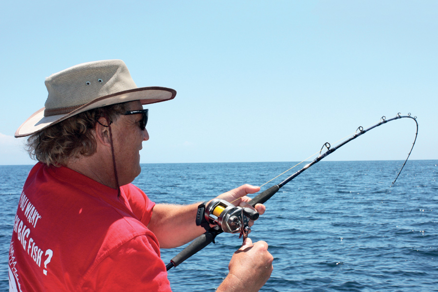 DragonForce Malaysia tweet media