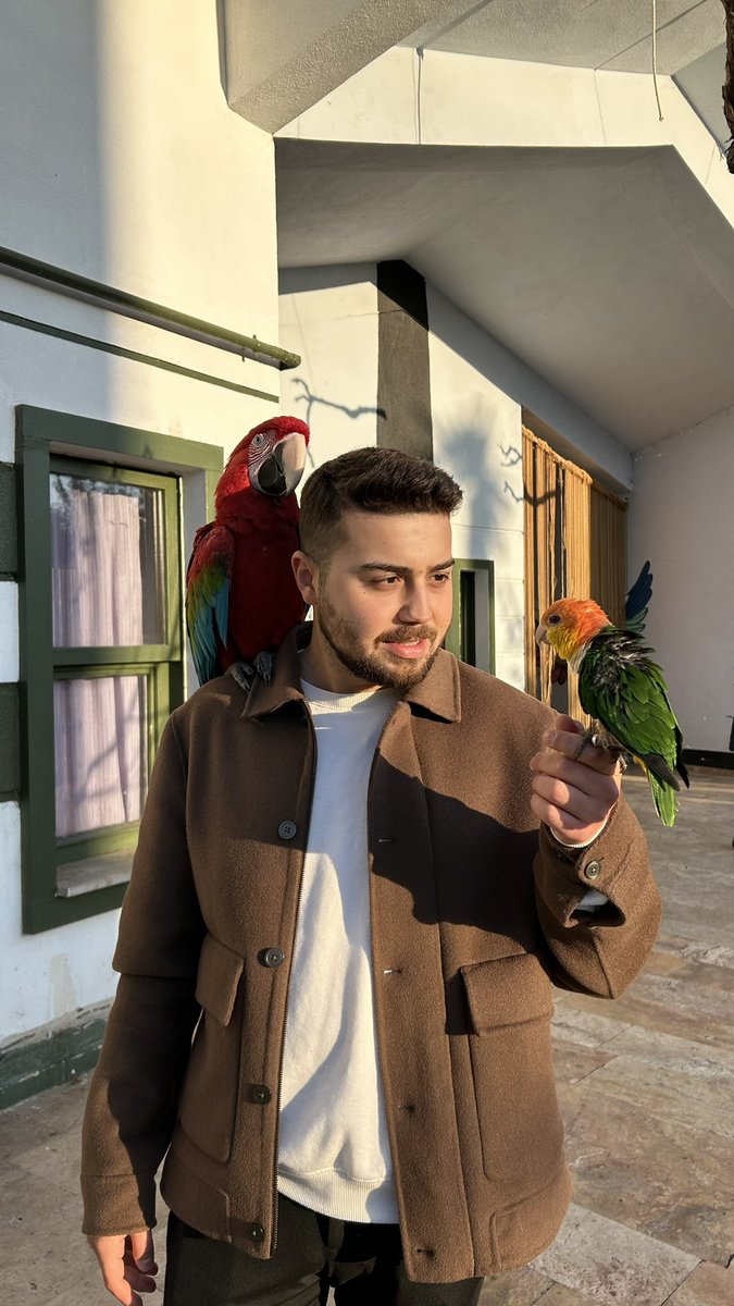 Haniymiş cici kuş…