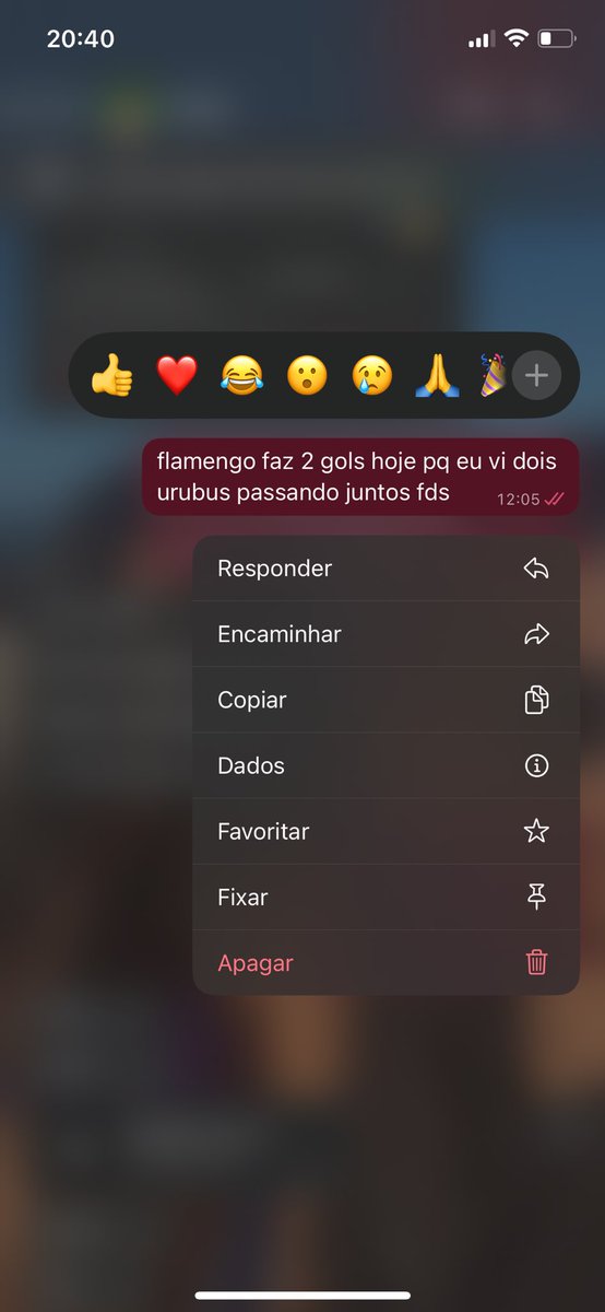 que isso Flamengo, levou muito a sério irmão…