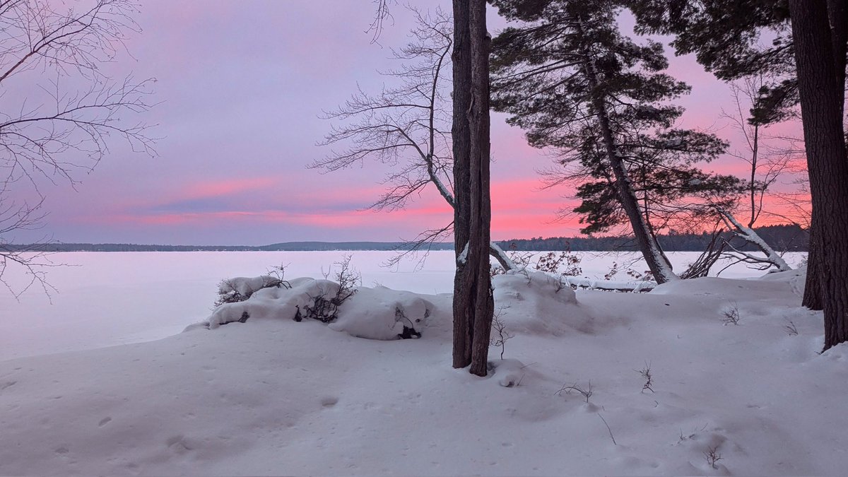 Tim Chilcote tweet media