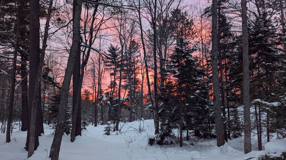 Tim Chilcote tweet media