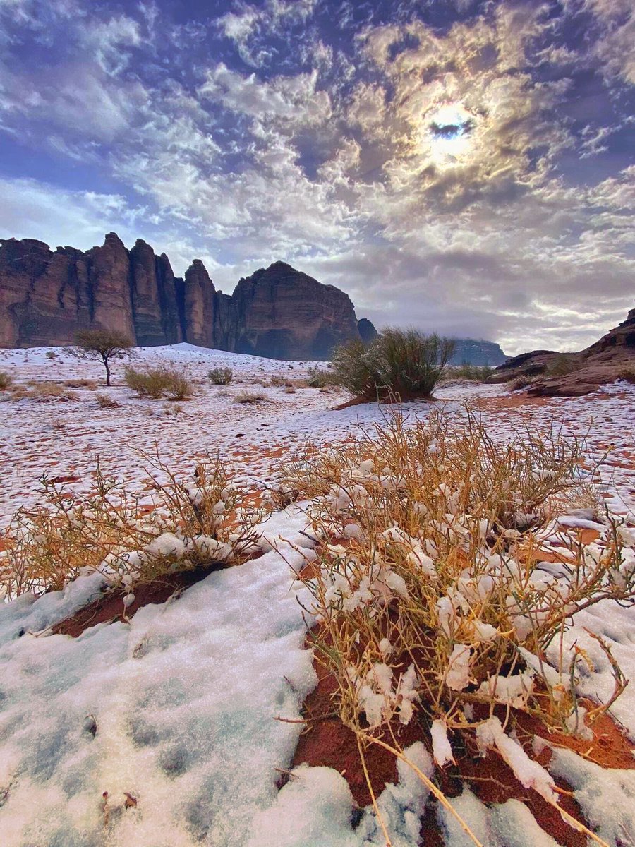 الشتاء في تبوك عباره عن لوحة فنية 💚🇸🇦