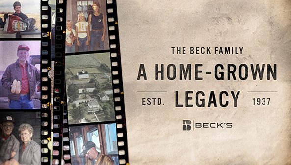 Beck's Hybrids tweet media