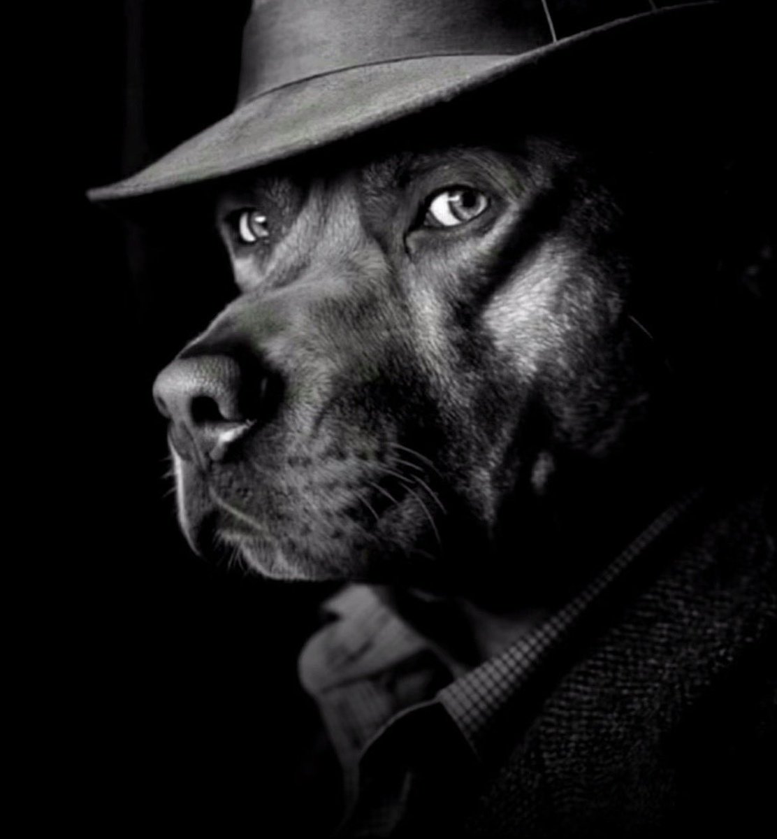 Pr1zym 💫 tweet media