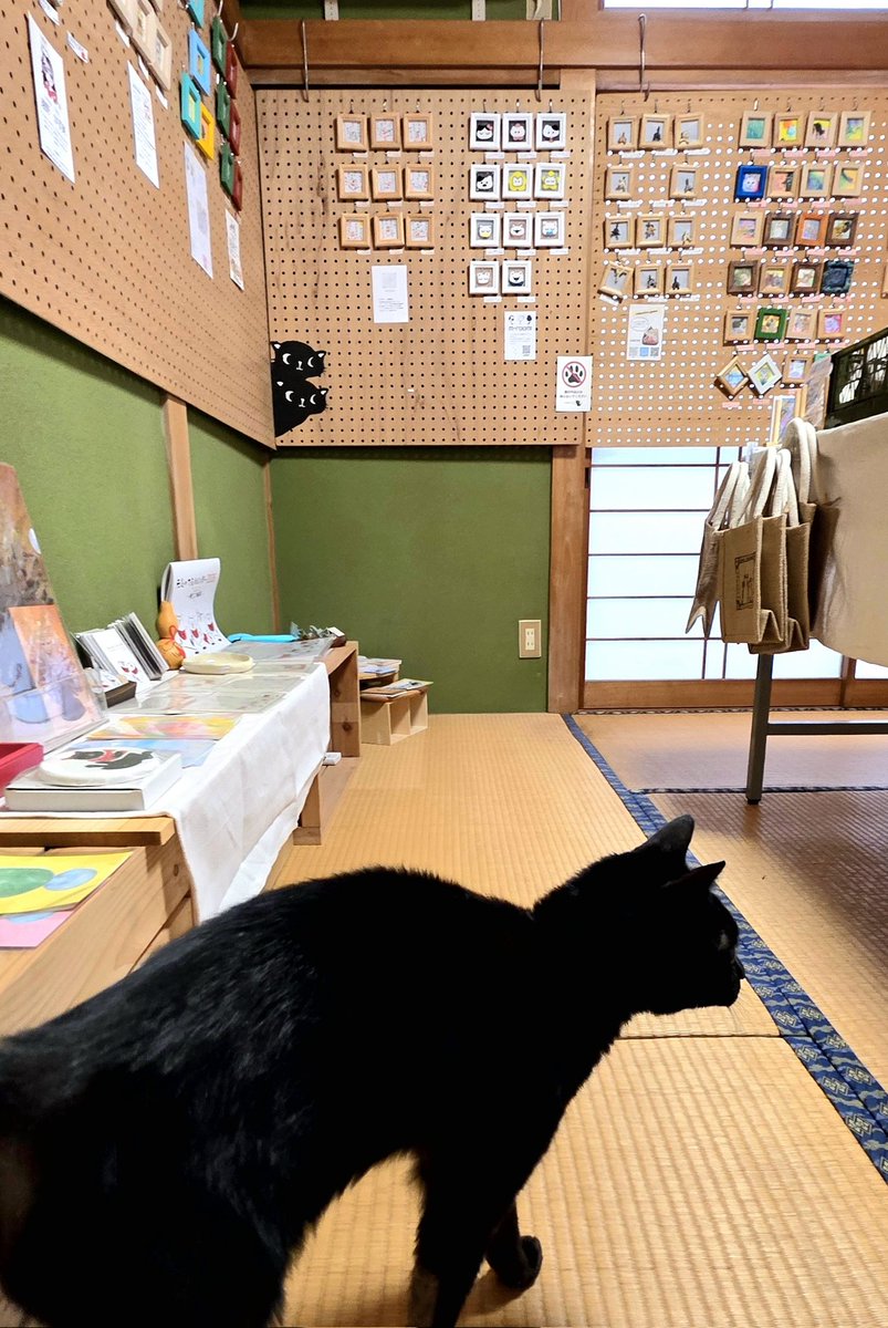 おはようございます☀️ 12/18、本日も11時～17時オープンです。 猫