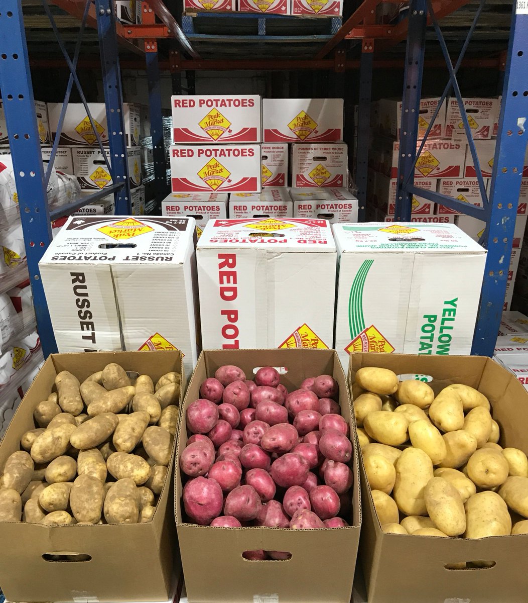 PeakoftheMarket's tweet photo. On the sixth day of Christmas, Rosie beamed with pride…

Six perfect potato types! 🥔✨

Yellow, red, russet, fingerlings, creamers, and white potatoes — each one grown with care by our incredible Manitoba growers and ready to shine in every holiday recipe. 🎄🍽️💚

 #ManitobaPotatoes #HolidayRecipes #EatLocalManitoba #PotatoLovers #FarmFresh #SupportLocalGrowers #ChristmasCooking #PotatoVarieties