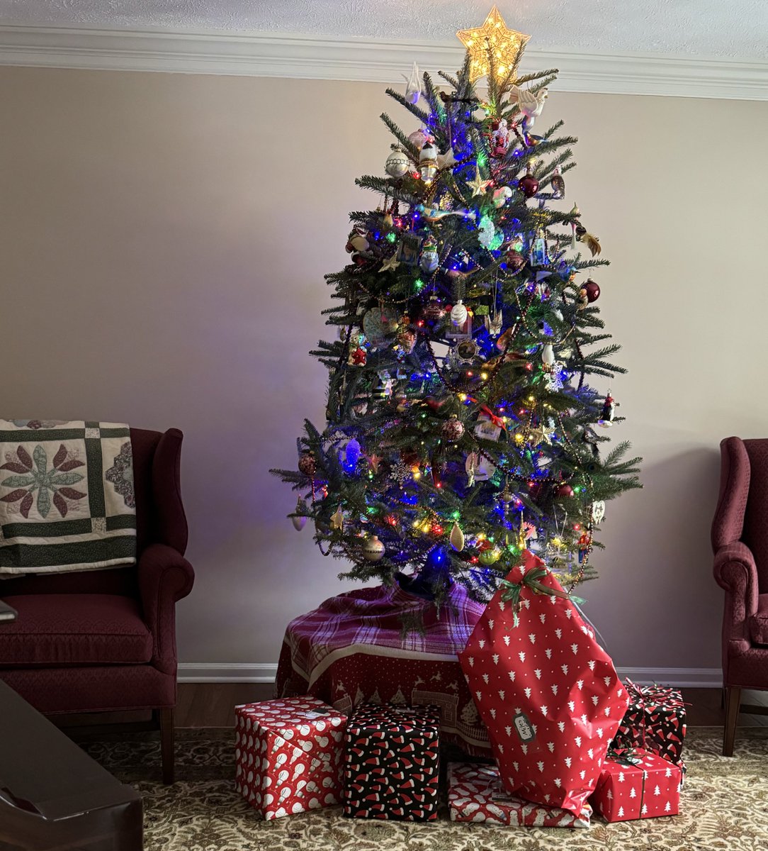 #MyChristmasTree look much like our last year’s tree - Another Frazier fir, with a great scent.