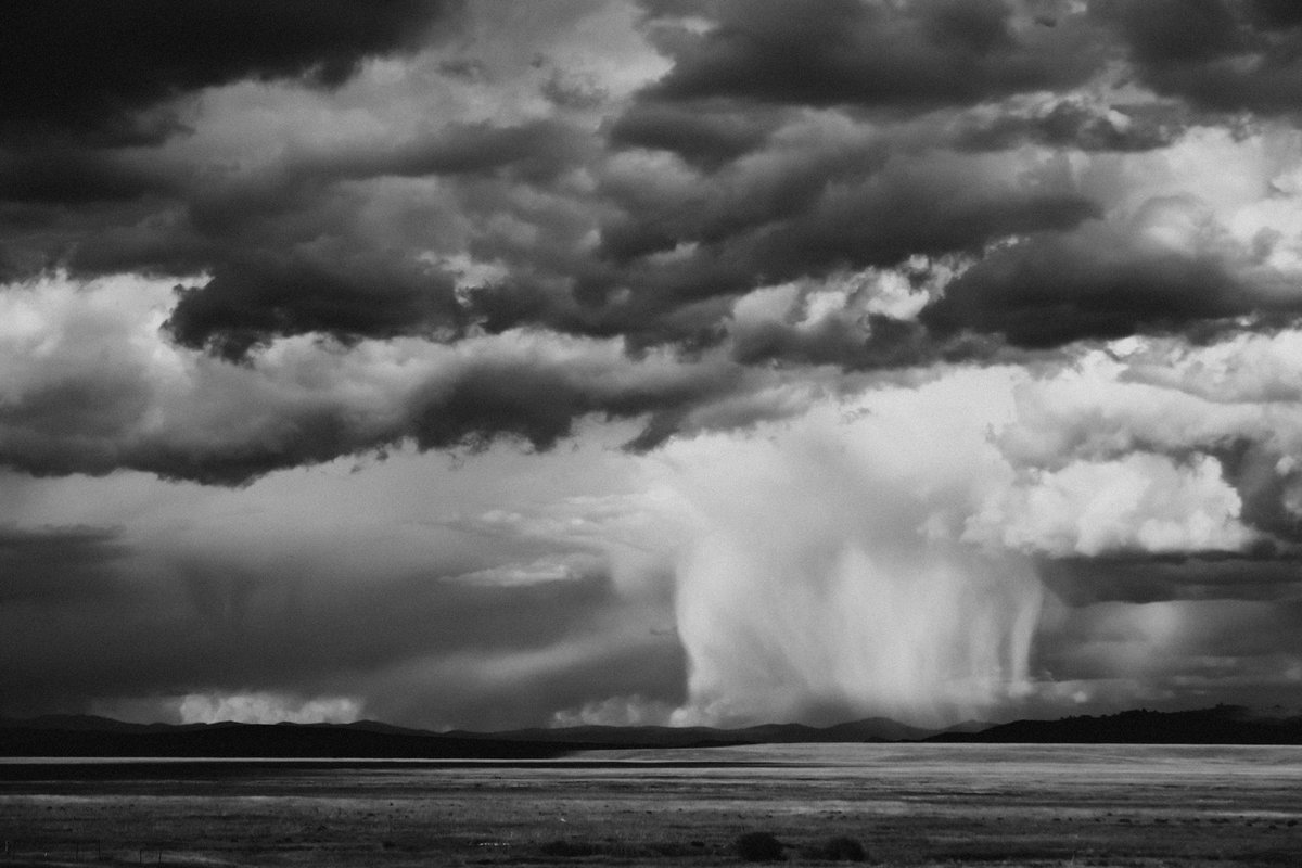 Heather N. Stout tweet media