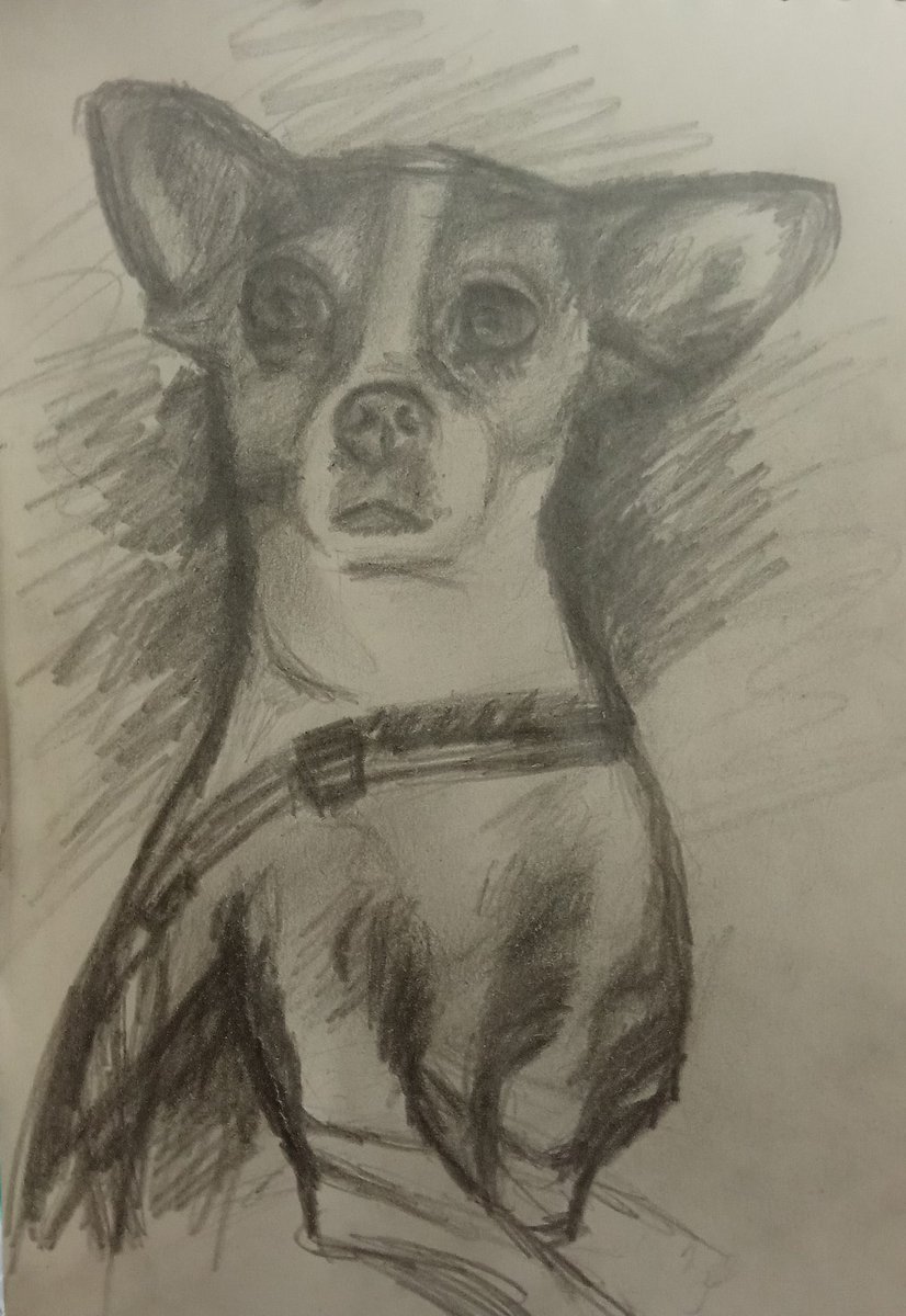 پوپی tweet media