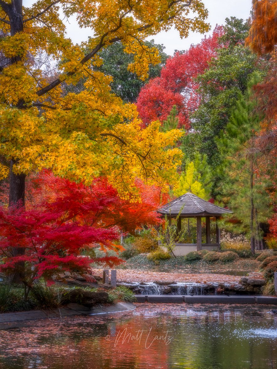 Matt Lantz tweet media