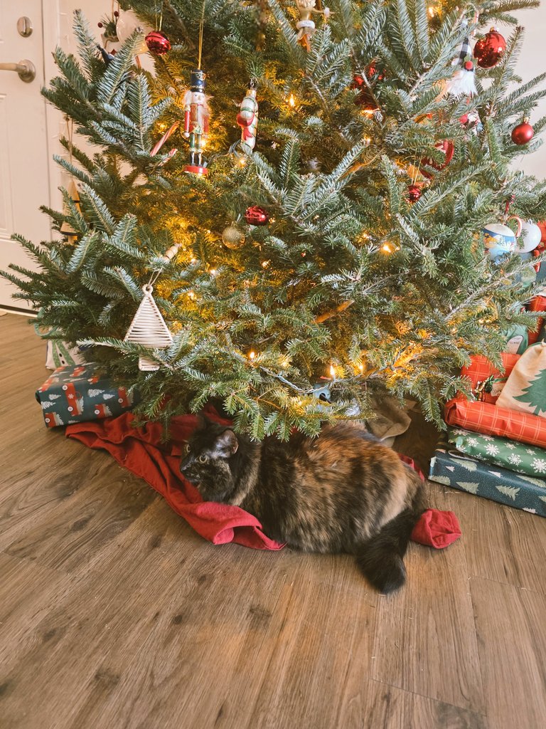 she's role-playing as a present 🎁
