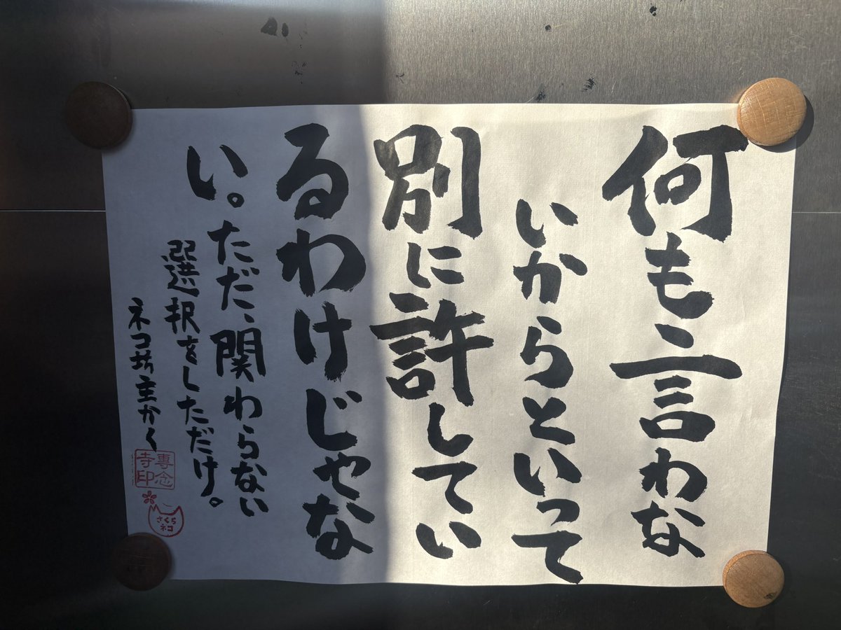 専念寺/ネコ坊主 tweet media