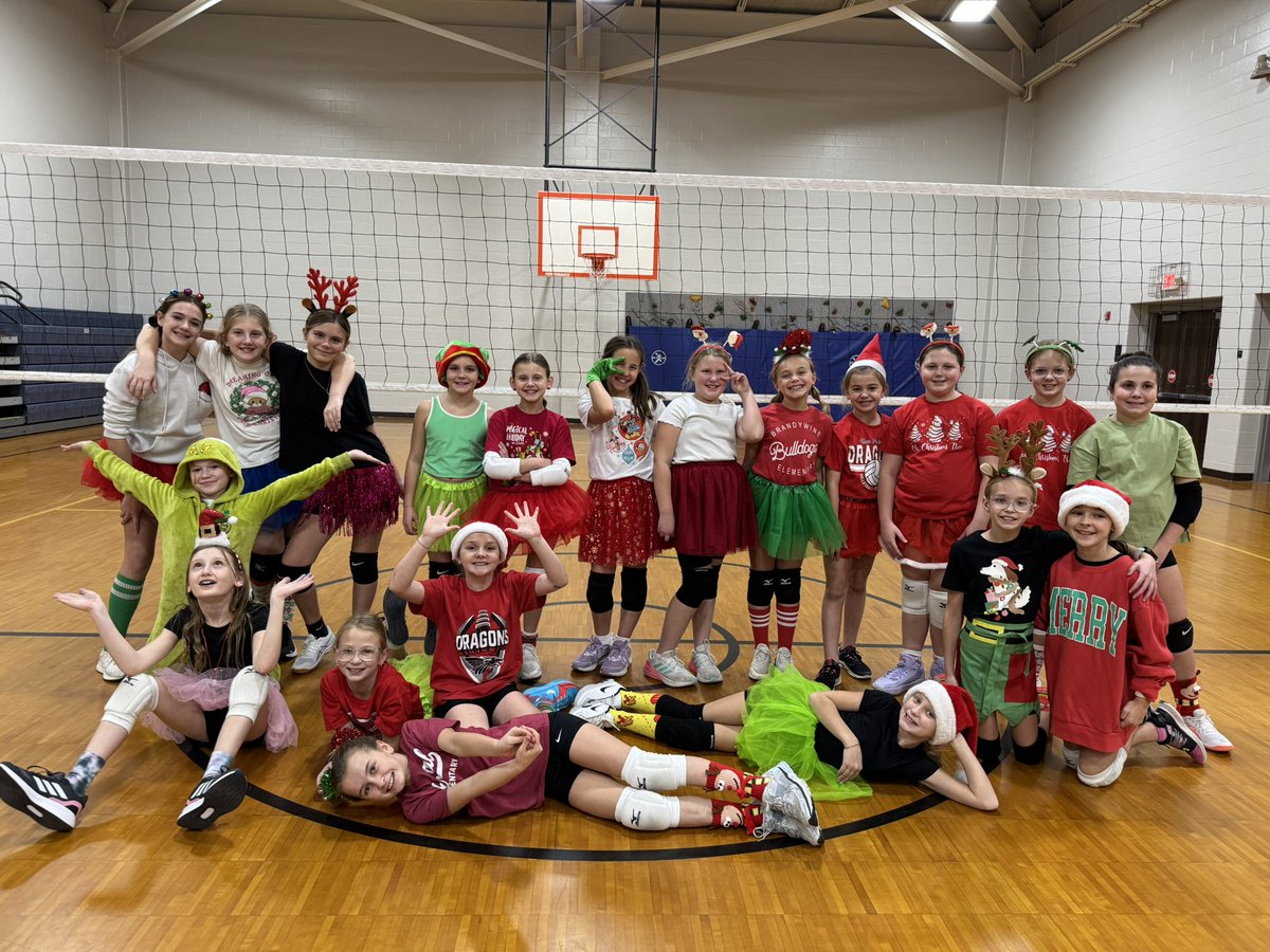 New Palestine VB tweet media