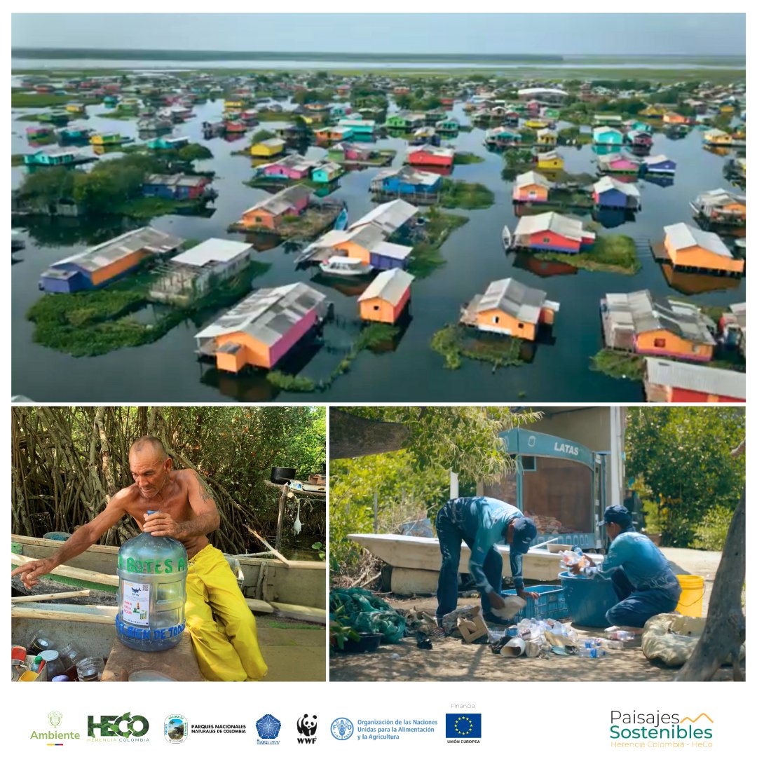 FAO Colombia tweet media