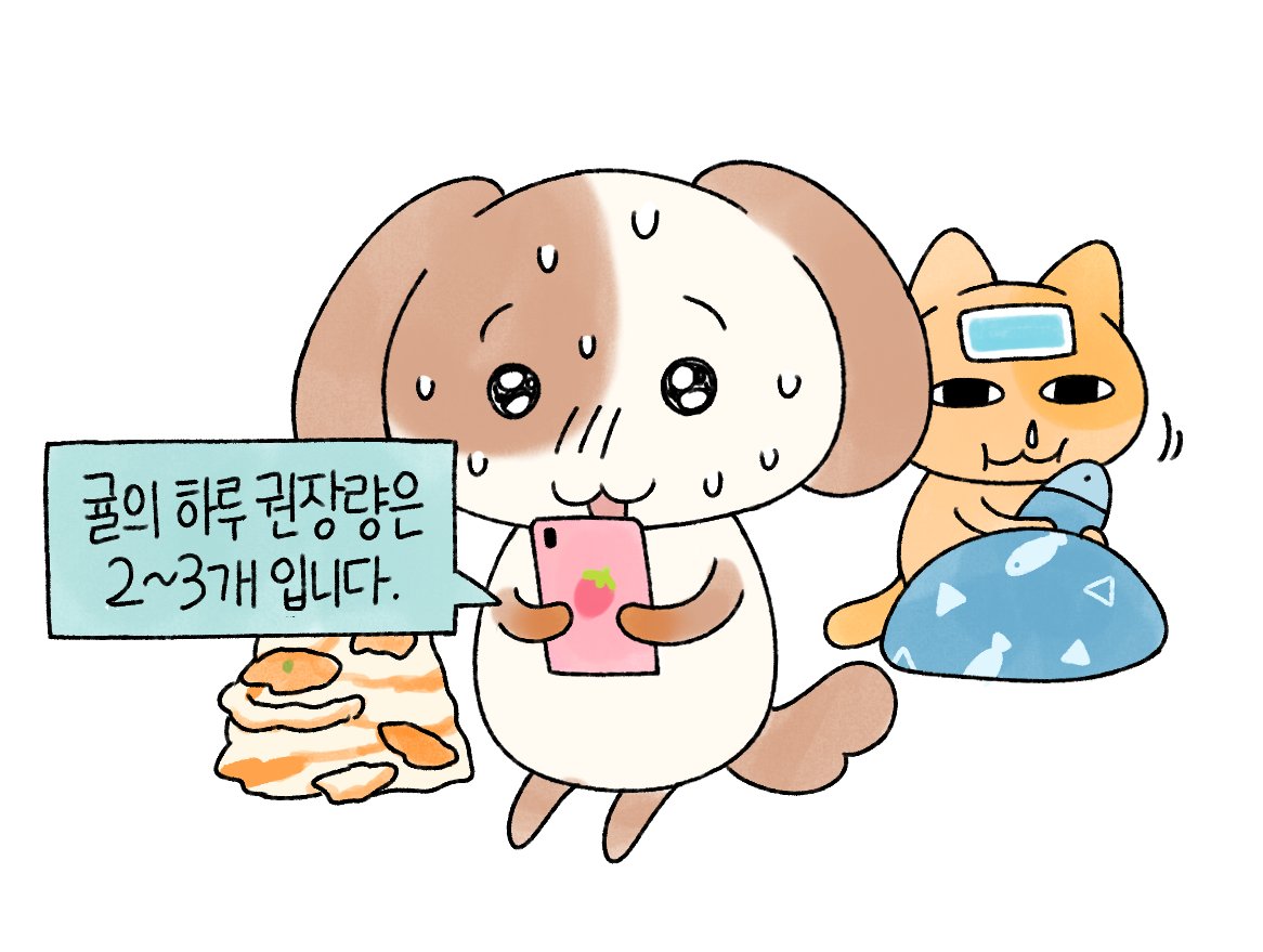 묘냥이와 멍구 (@myo_n_meong) on Twitter photo 
