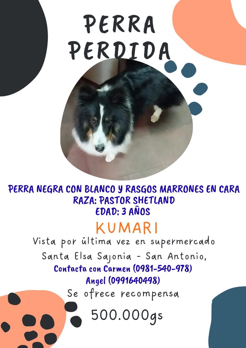 REPTZ (@ruthdemoab) on Twitter photo 