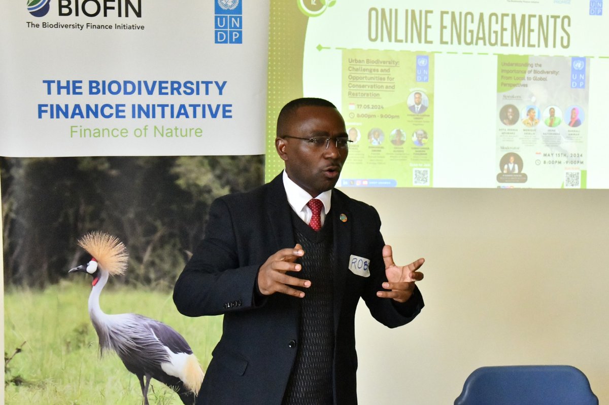 Olulung Fiona tweet media