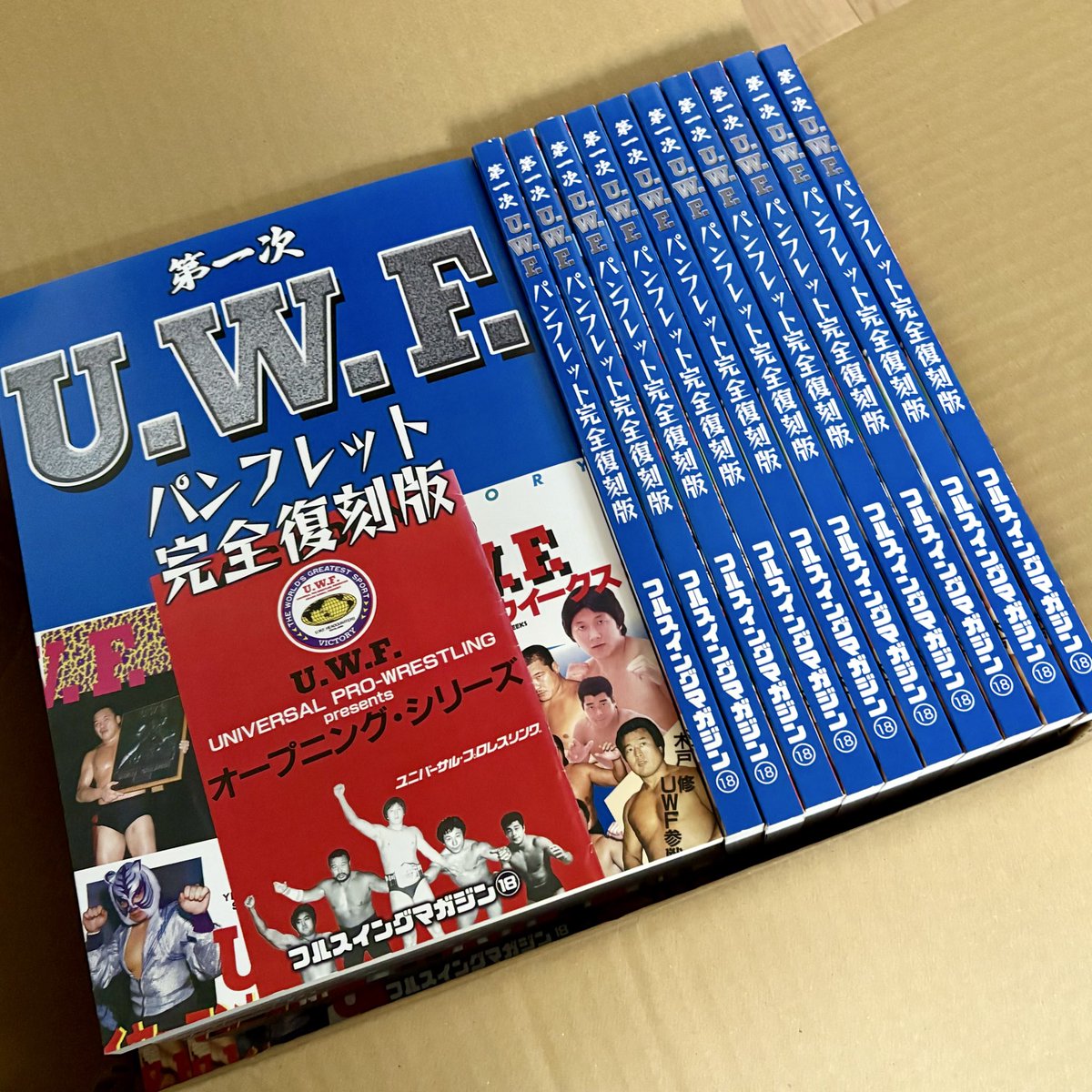 UWF★オープニングシリーズ★大会ポスター・全券・パンフレット UWF☆オープニングシリーズ☆大会ポスター・全券・パンフレット UWF