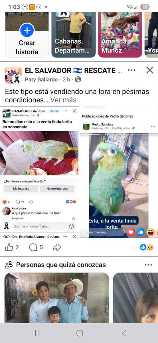 #denunciapublica ⚠️ ‼️

Nos piden publicar 👇🏻

Venta  Ilegal de animalitos exóticos !!!!
A esta persona ya la habían publicado por vender aves, ahora nos envían que también esta comercializando con un mono capuchino
Nombre : PEDRO SANCHEZ
Dice ser de SONSONATE
<a href="/PNCSV/">PNC El Salvador</a>