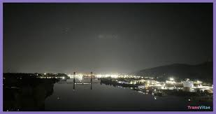 billy tom tweet media