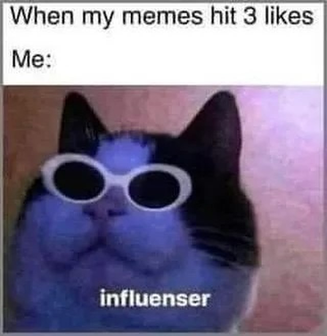 PunchingCat's tweet image. 