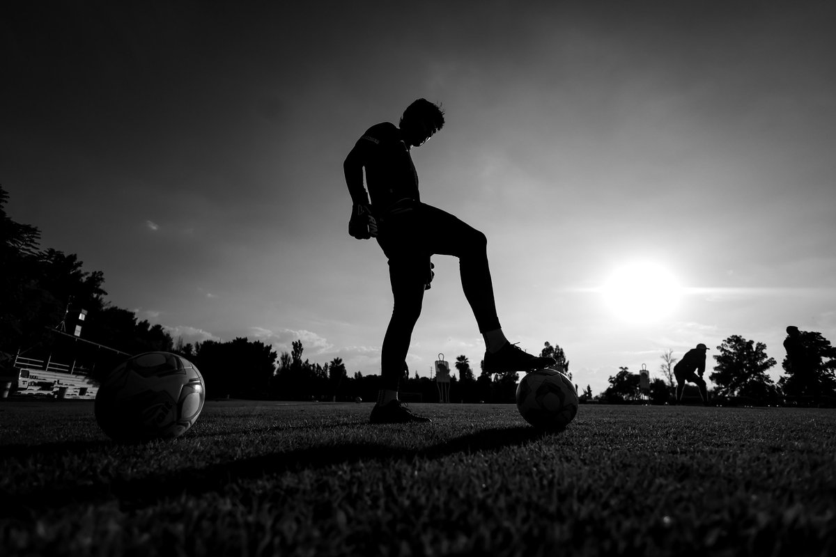 Los días de pretemporada del Gallo Blanco. 🔵⚫️

Querétaro está trabajando a full.

#ResetAzulyNegro