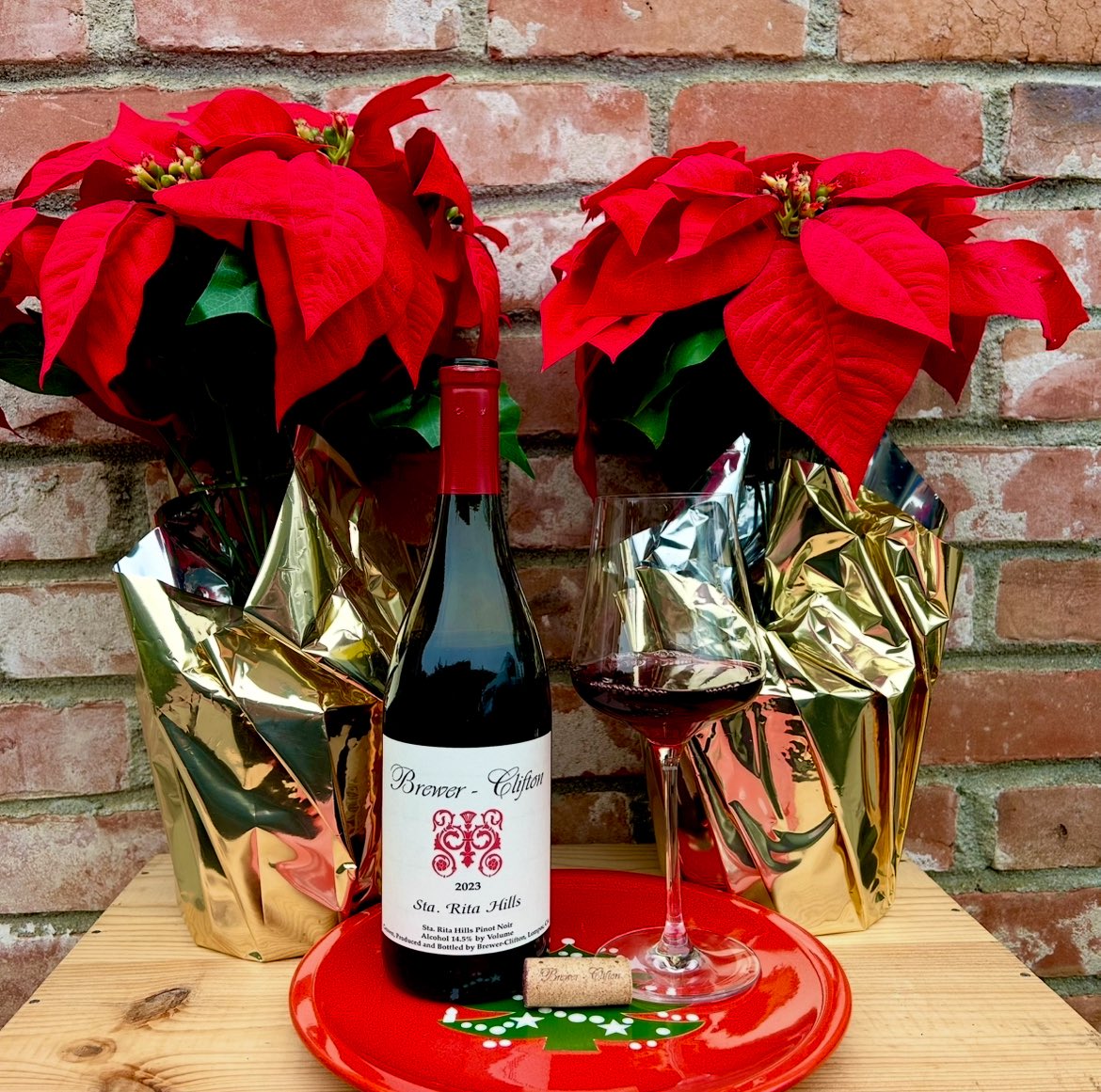 _drazzari's tweet image. #WineWednesday among the poinsettias with this 2023 @BrewerClifton pinot noir from Santa Barbara County. This shows a nose of black cherry, rose petals and cinnamon with a palette full of strawberry, blood orange and violets. Cheers.