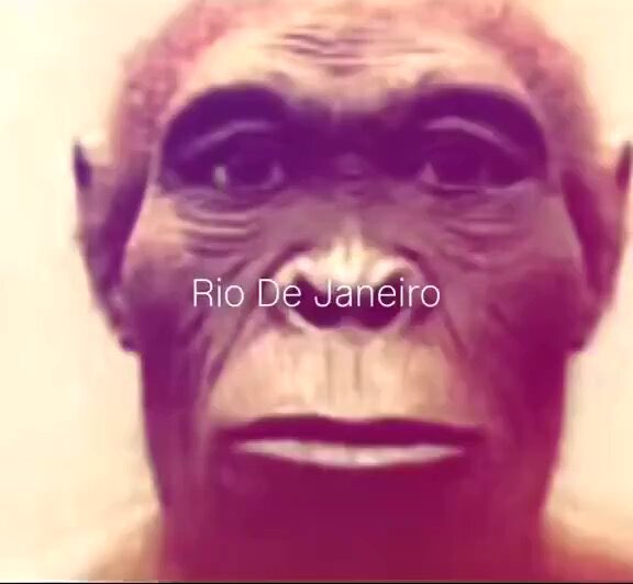 SPIDERPETEMAN's tweet image. 