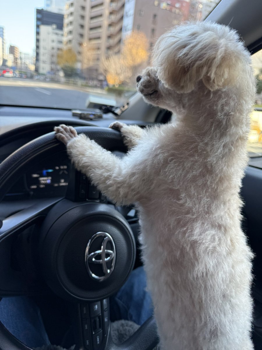 銀太郎🇯🇵 (@gintarou777) / Posts / X