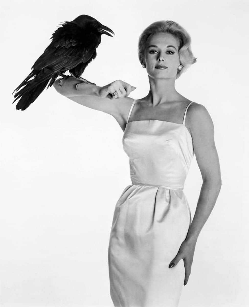 HorrorHammer1's tweet photo. Tippi Hedren promo for The Birds (1962) https://t.co/xHQG8u9cst