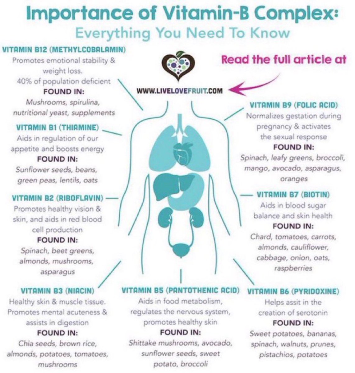 NutrioSci's tweet image. Everything you need to know about Vitamin B complex

#vitaminB #nutrients #MedX