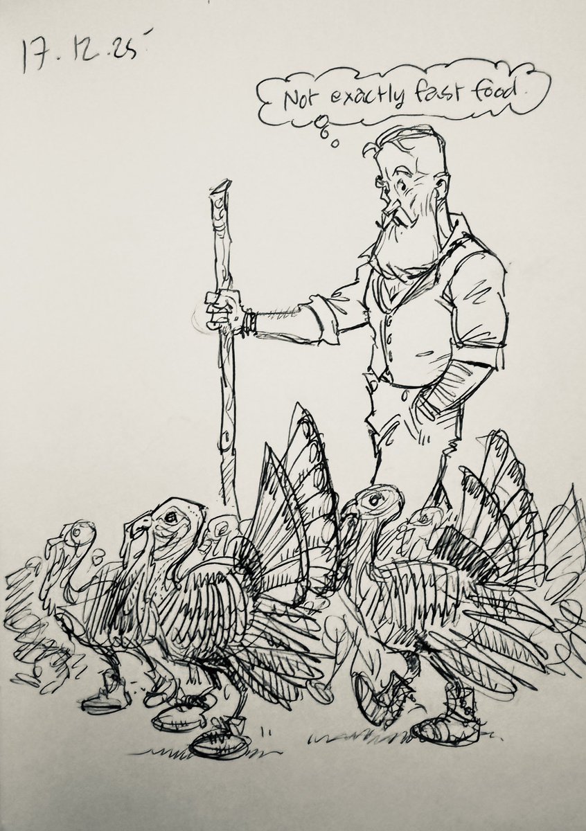 In the Victorian era, turkeys raised in East Anglia were often herded along Drovers’ roads to London to be sold fresh in time for Christmas - a journey that took 3months to complete. To protect their feet, turkeys were fitted with leather or sacking boots. #doodleaday #hotsanta
