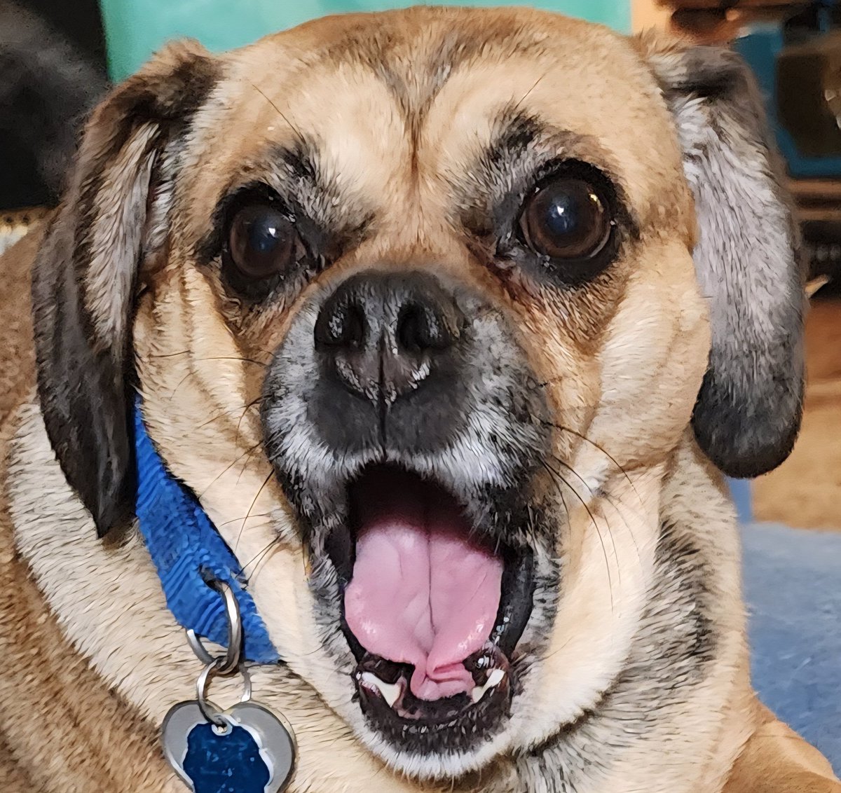 KJ Bailey tweet media