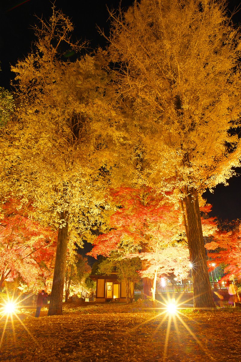 シティプロモーション担当です。雀宮公園フォトコンテスト2025の受賞