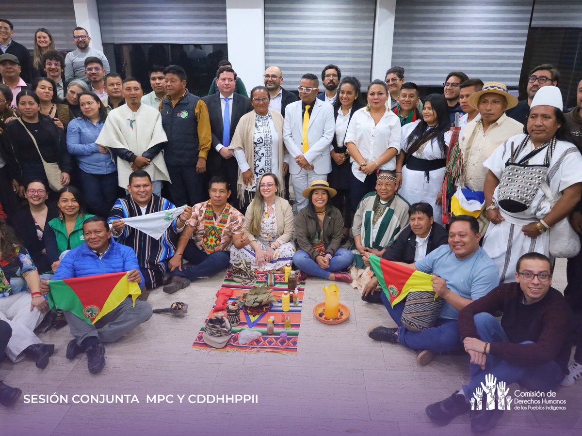 Comisión de DDHH de Pueblos Indígenas de Colombia tweet media