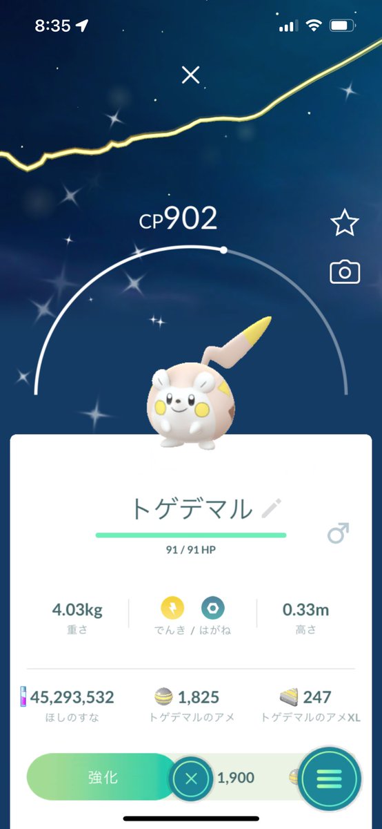 ayasam910's tweet photo. トゲデマル
#PokemonGo #色違い https://t.co/nfsL9gs7BT