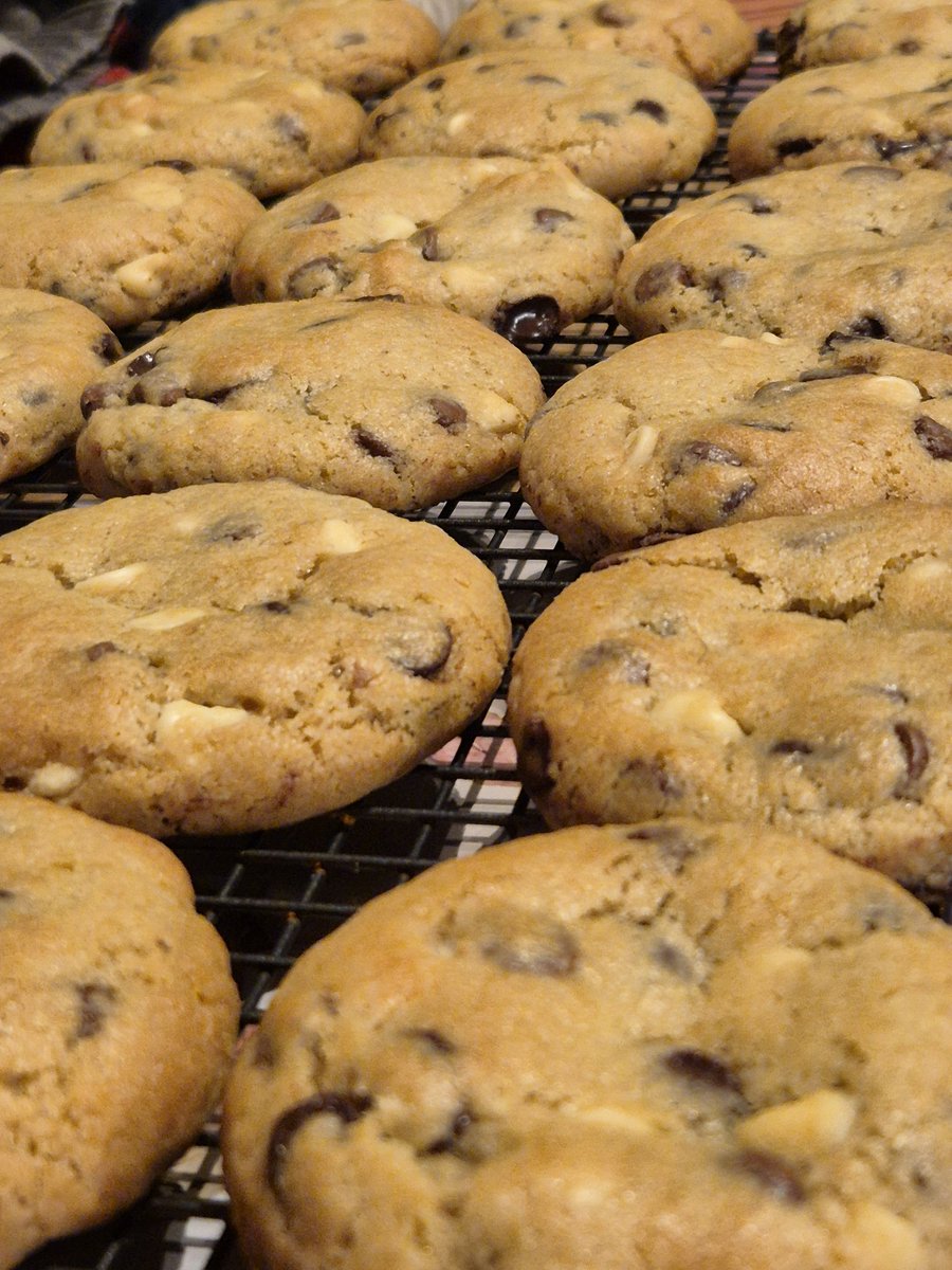 JarvisGreatwolf's tweet photo. Cookies BAKED https://t.co/LrAmHIKvTY