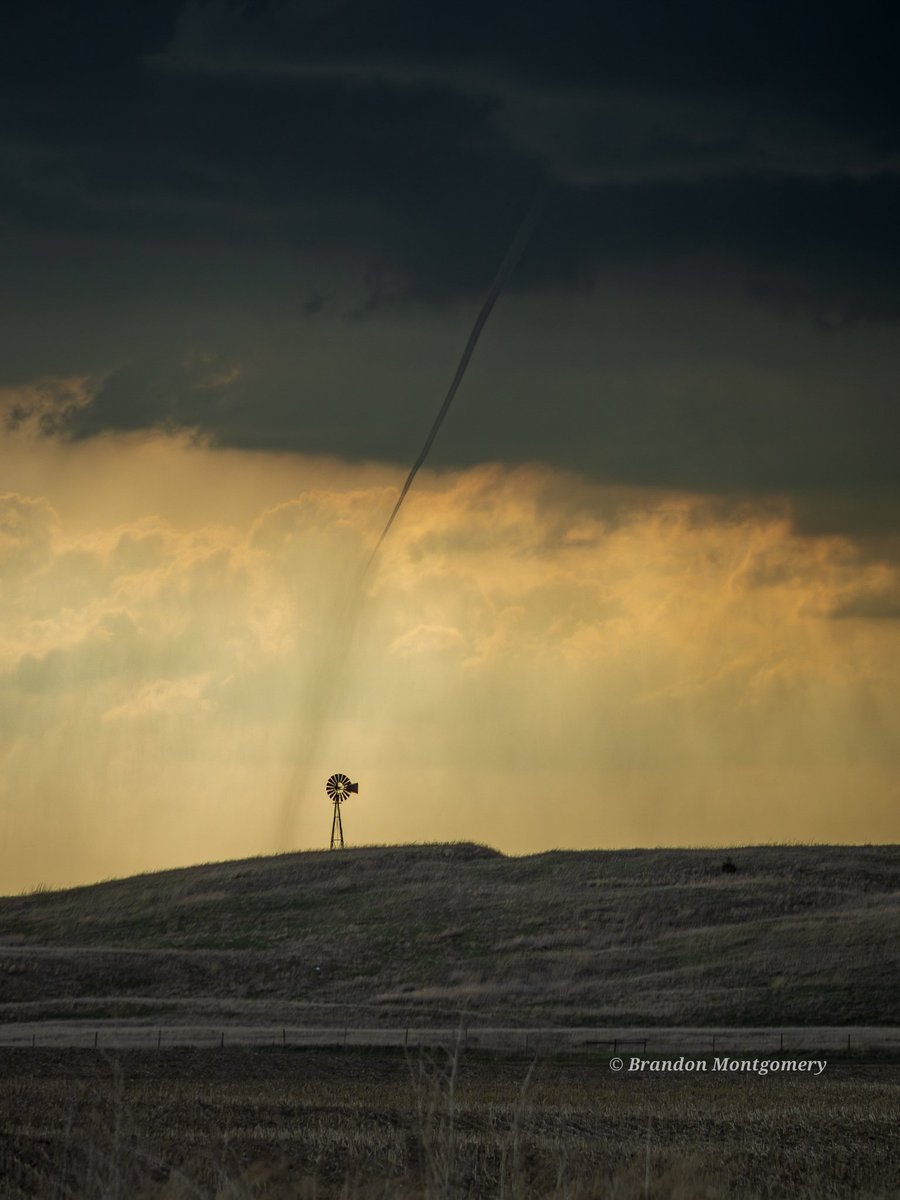 Brandon Montgomery tweet media