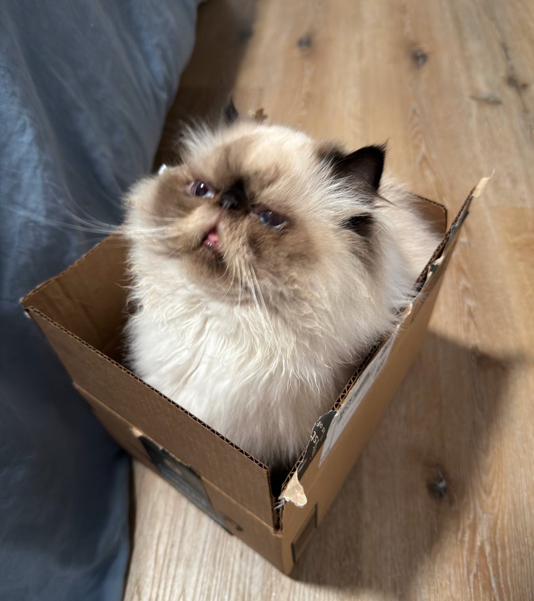 Mars Noire tweet media