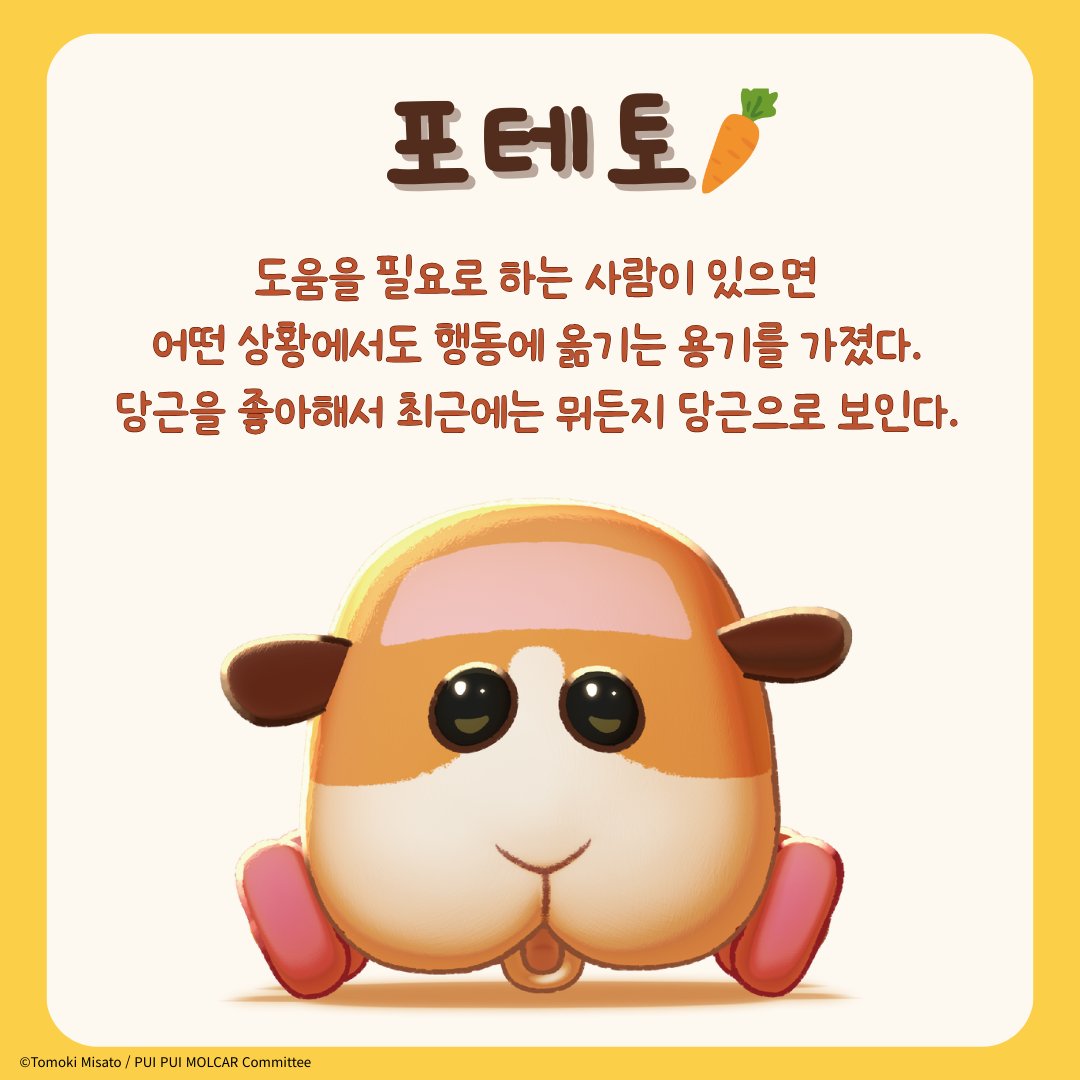【한국 공식】 뿌이뿌이 모루카 tweet media