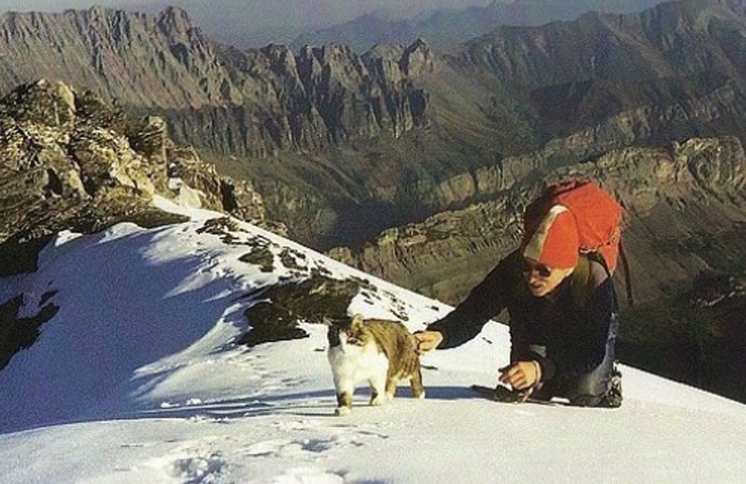 🌴 Vagrant 🌴 tweet media