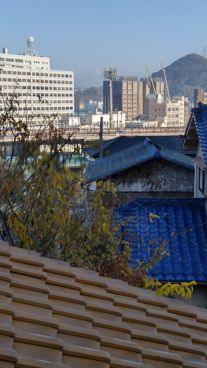 家の窓から遠くに見える
あれが噂の
🎇🪂🦝