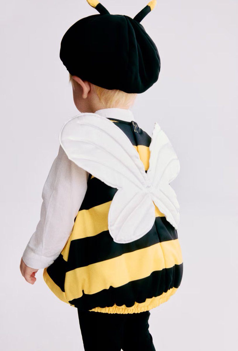 すもも (@sumomotter_) / Posts / X